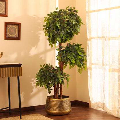 Artificial Green Ficus Bonsai for Home Décor – Realistic Indoor Plant (With Pot, 5.5 Feet)