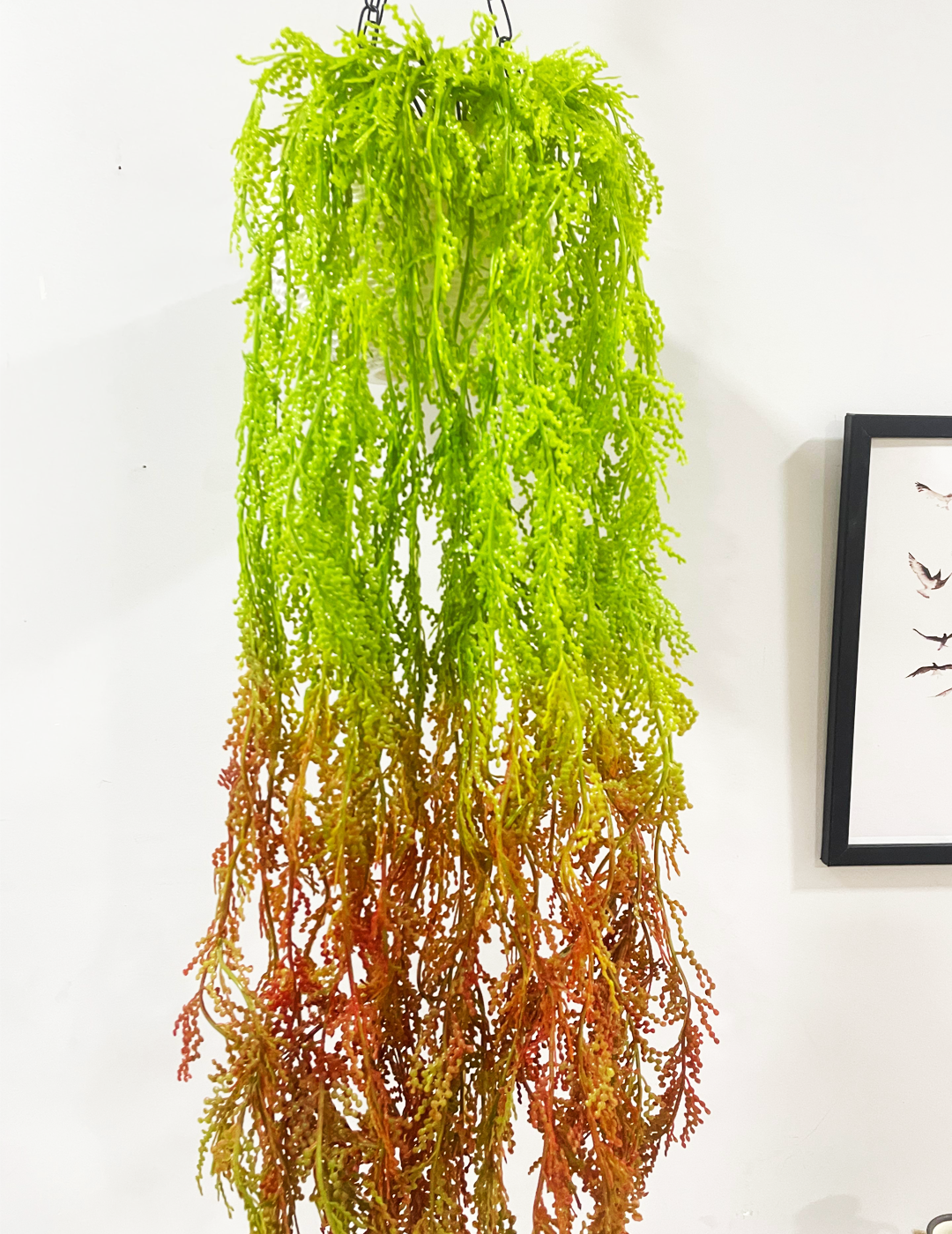 2.6 Feet Artificial Hanging Green and Red Creeper Plants without Pot- Set of 2- Artificial Hanging Plant for Home and Office Decor for indoor and outdoor use