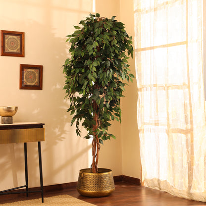 Artificial Green Ficus Plant for Home Décor – Realistic Indoor Plant (With Pot, 7 Feet)