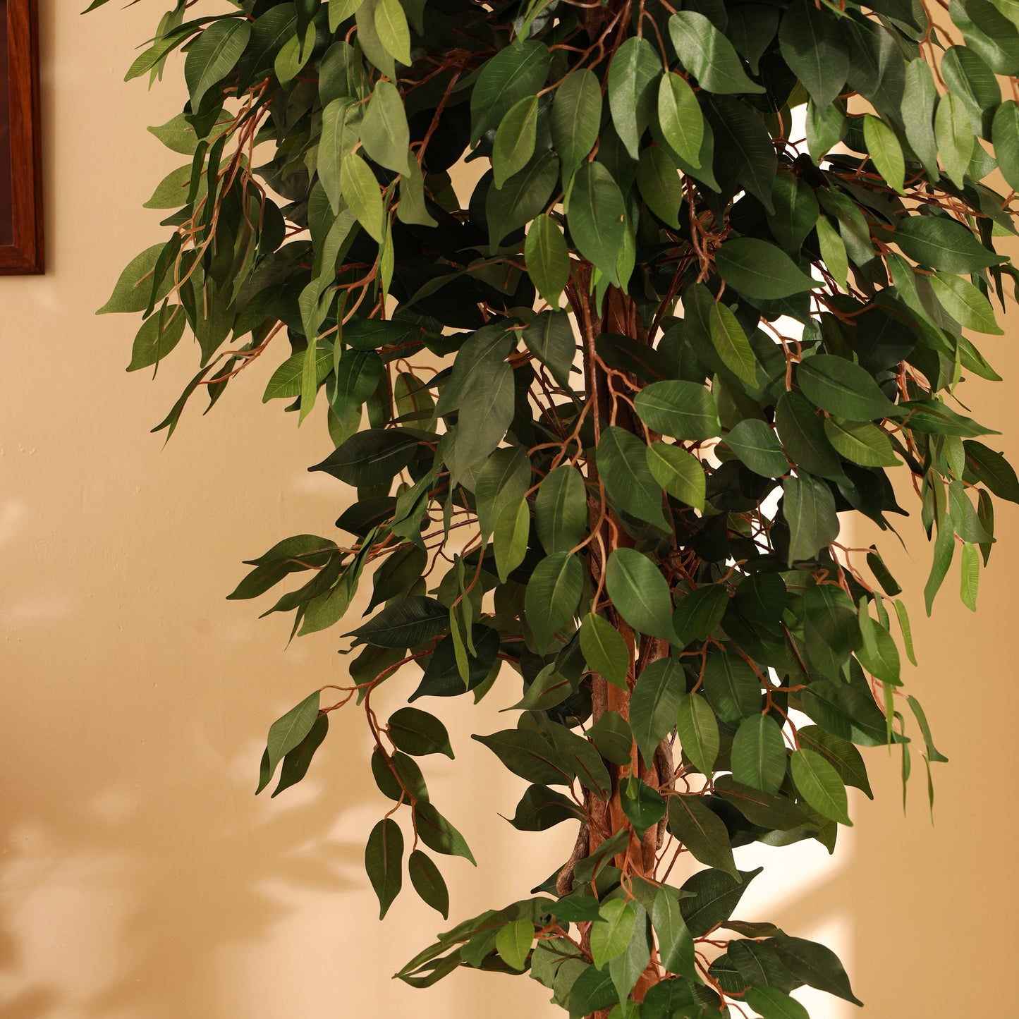 Artificial Green Ficus Plant for Home Décor – Realistic Indoor Plant (With Pot, 7 Feet)