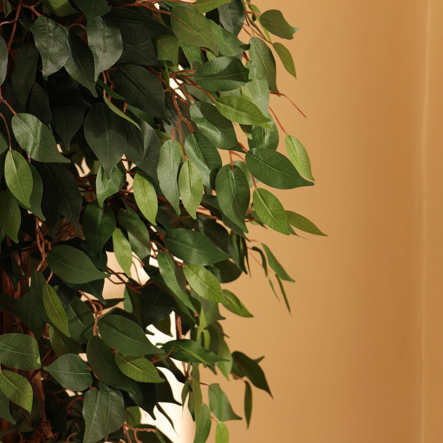 Artificial Green Ficus Plant for Home Décor – Realistic Indoor Plant (With Pot, 7 Feet)