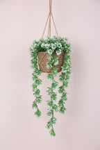 2 Feet Artificial White Rose Flower Hanging Plants without Pot - Pack of 2- Premium Artificial Hanging Plants for Home and Office Decor for indoor and outdoor use 