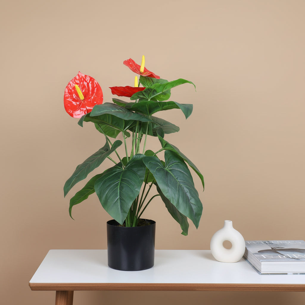 2 Feet Premium Artificial Anthurium Plant with 18 Leaves with Pot - Luxe Faux Plant for Home and Office Decor for indoor and outdoor use 