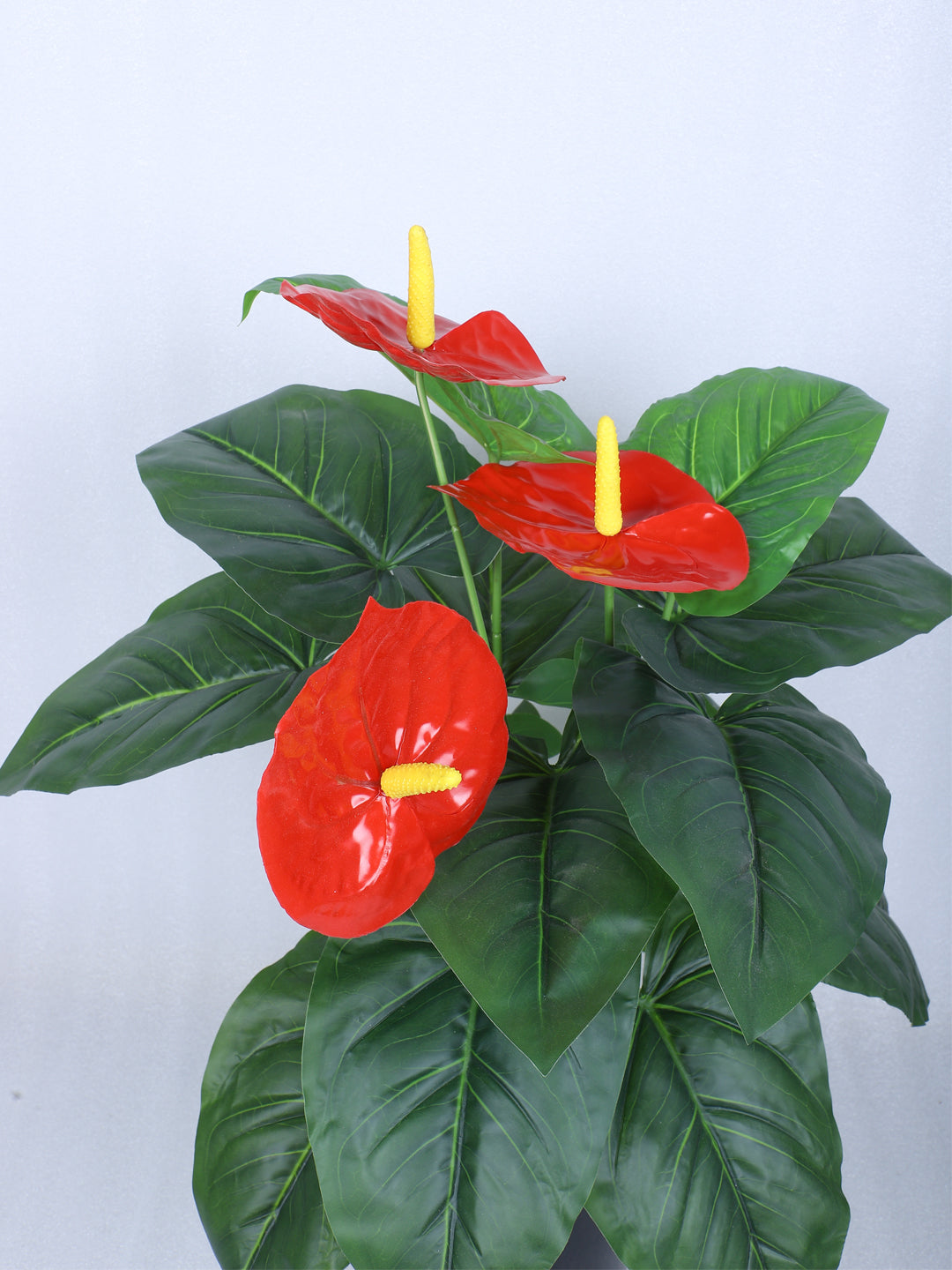 2 Feet Premium Artificial Anthurium Plant with 18 Leaves with Pot - Luxe Faux Plant for Home and Office Decor for indoor and outdoor use 