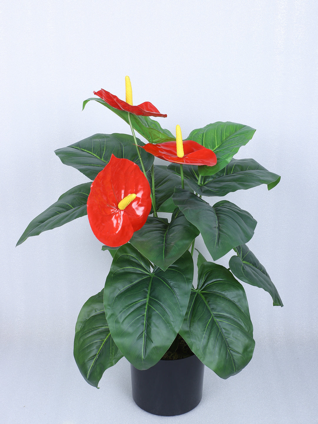 2 Feet Premium Artificial Anthurium Plant with 18 Leaves with Pot - Luxe Faux Plant for Home and Office Decor for indoor and outdoor use 