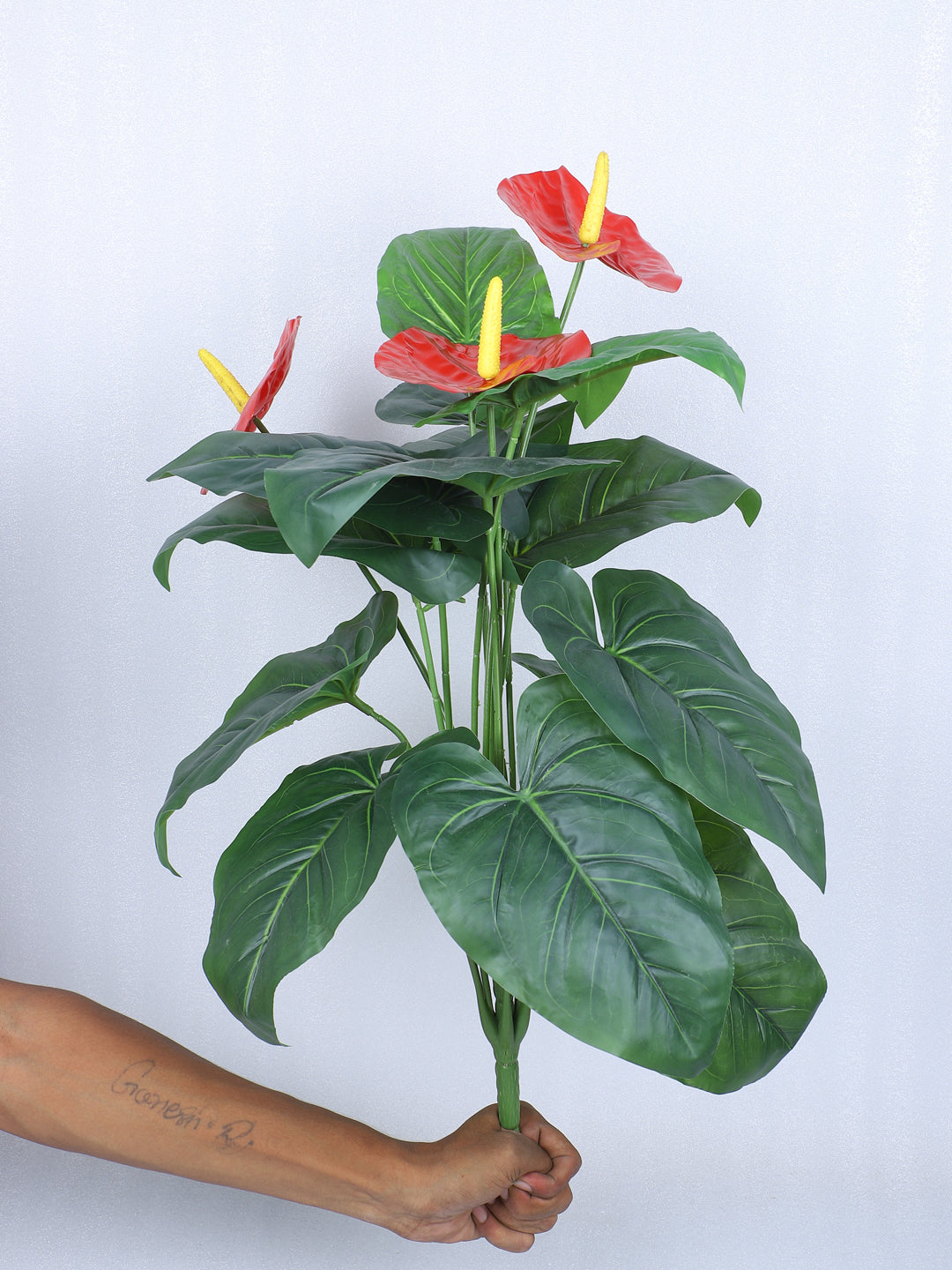 2 Feet Premium Artificial Anthurium Plant with 18 Leaves with Pot - Luxe Faux Plant for Home and Office Decor for indoor and outdoor use