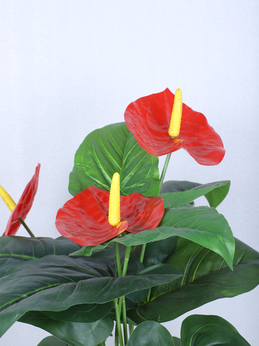2 Feet Premium Artificial Anthurium Plant with 18 Leaves with Pot - Luxe Faux Plant for Home and Office Decor for indoor and outdoor use 