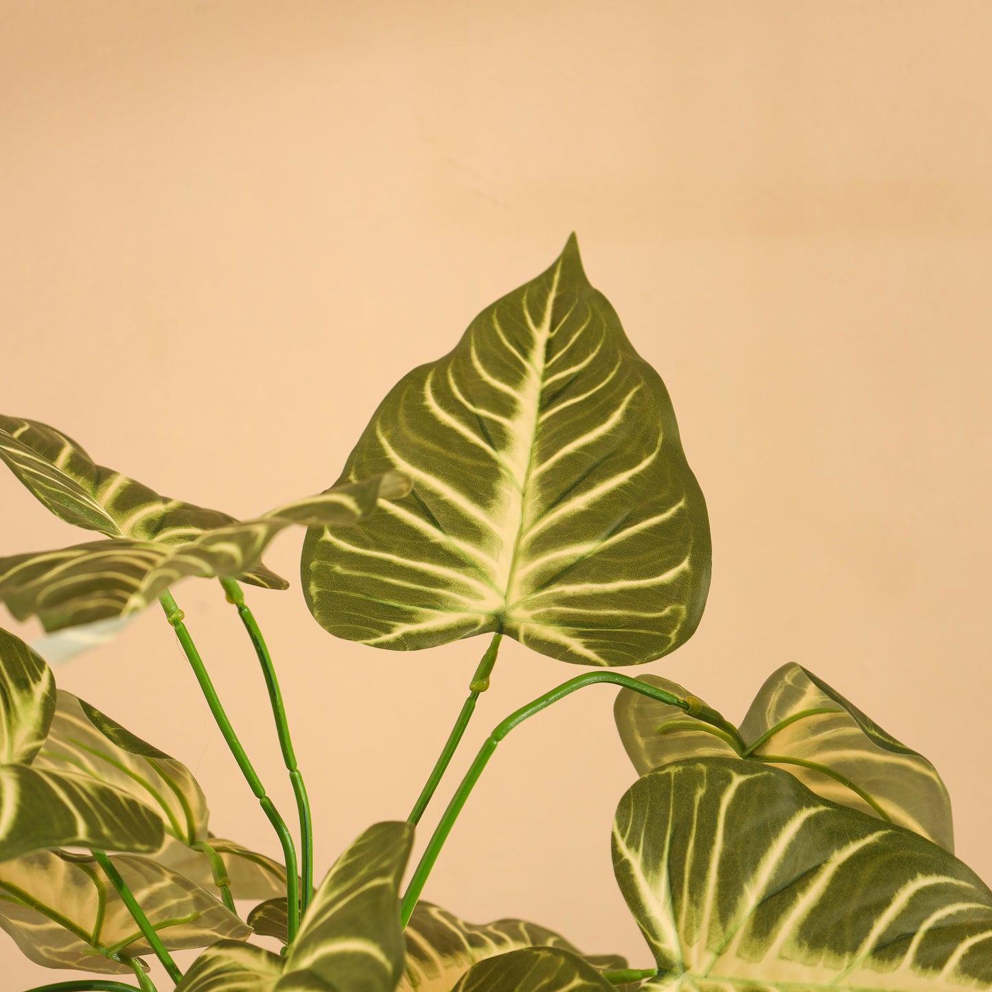 Artificial Syngonium Plant – Without Pot (1.5 Feet, 12 Leaves, Set of 2)