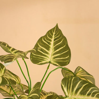 Artificial Syngonium Plant – Without Pot (1.5 Feet, 12 Leaves, Set of 2)