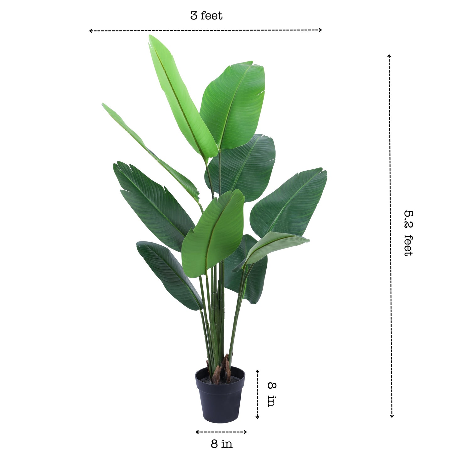 Artificial Banana Plant in Black Pot (5.2 Feet)