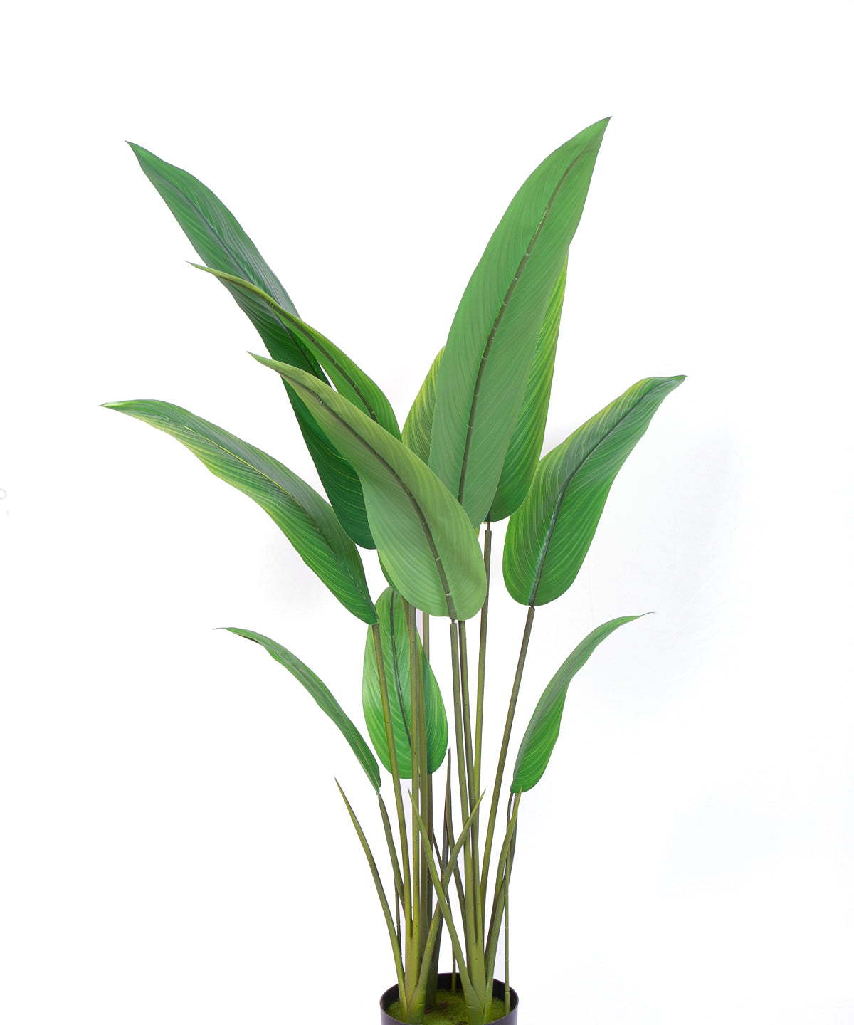 4 Feet Artificial Birds of Paradise Plant with Pot- Premium Faux Plant for Home and Interior Decor for indoor and outdoor use
