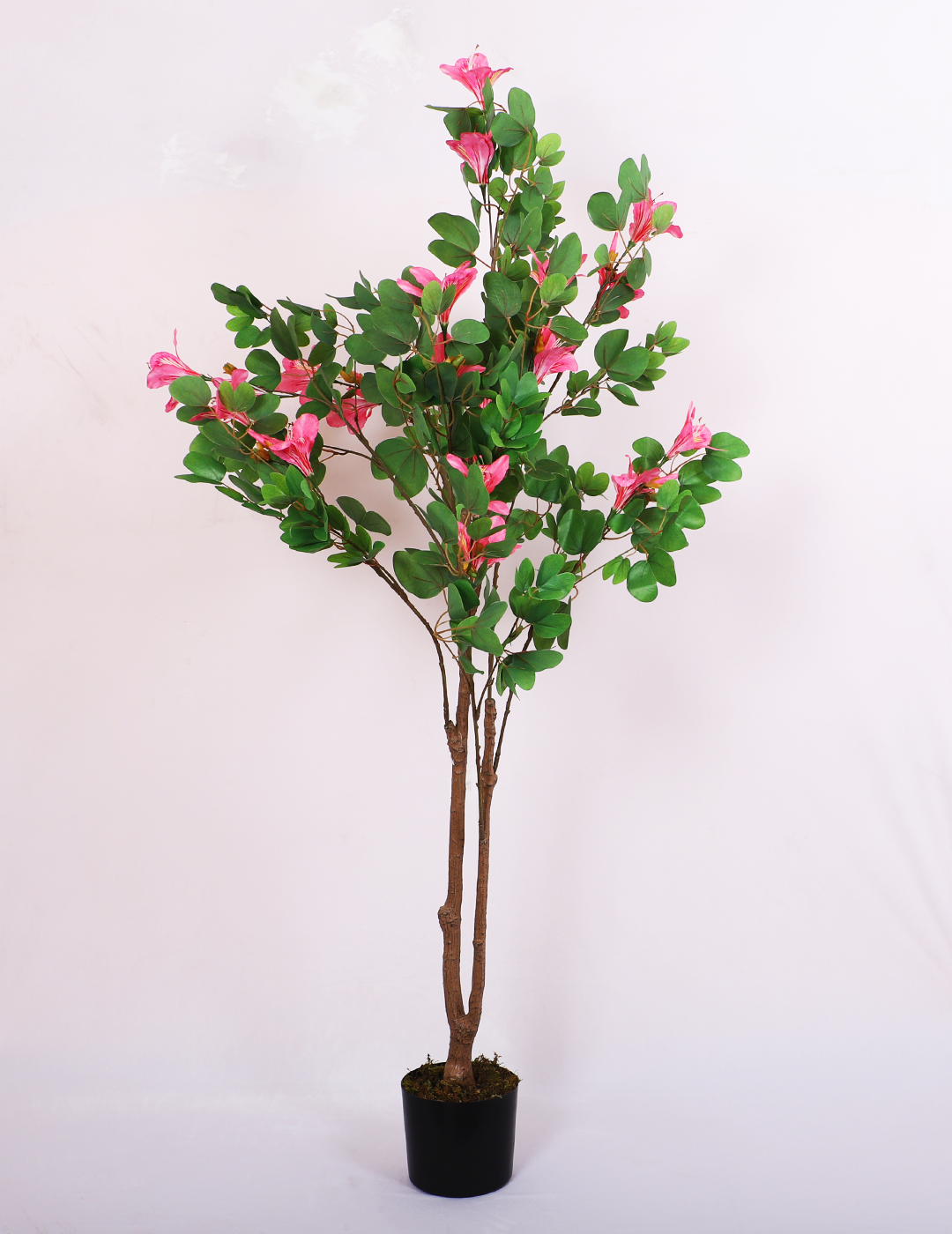 5.2 Feet Artificial Pink Magnolia Flower Plant with Pot- Artificial Plant for Home Decor for Indoor and outdoor use