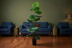 5.5 Feet Premium Artificial Ruffled Fan Palm Plant with Pot -Premium Artificial Plant for Home and Office Decor for indoor and outdoor use 