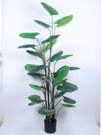 5.5 Feet Premium Artificial Ruffled Fan Palm Plant with Pot -Premium Artificial Plant for Home and Office Decor for indoor and outdoor use 