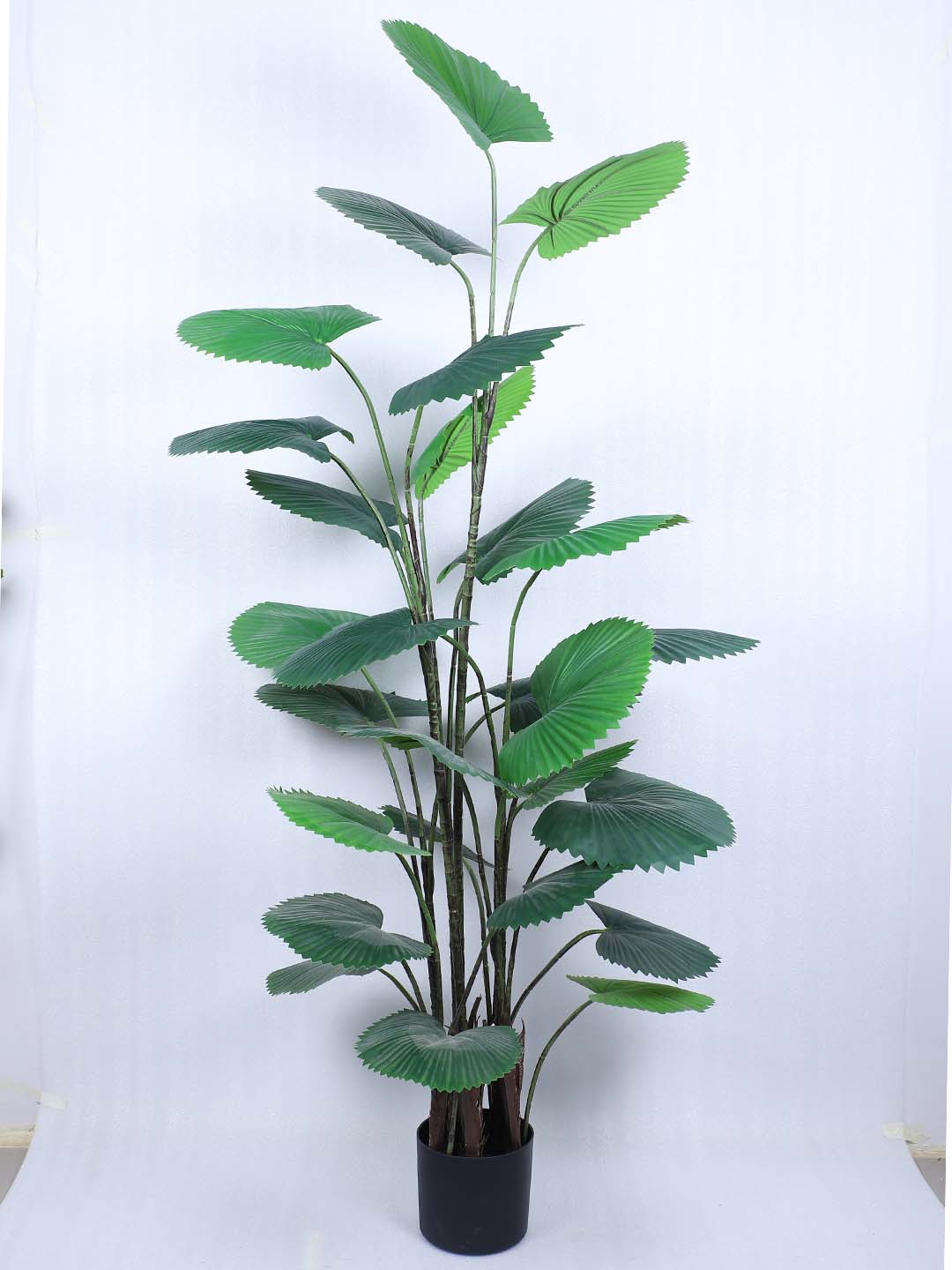 5.5 Feet Premium Artificial Ruffled Fan Palm Plant with Pot -Premium Artificial Plant for Home and Office Decor for indoor and outdoor use 