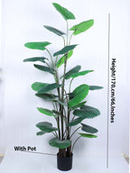 5.5 Feet Premium Artificial Ruffled Fan Palm Plant with Pot -Premium Artificial Plant for Home and Office Decor for indoor and outdoor use 