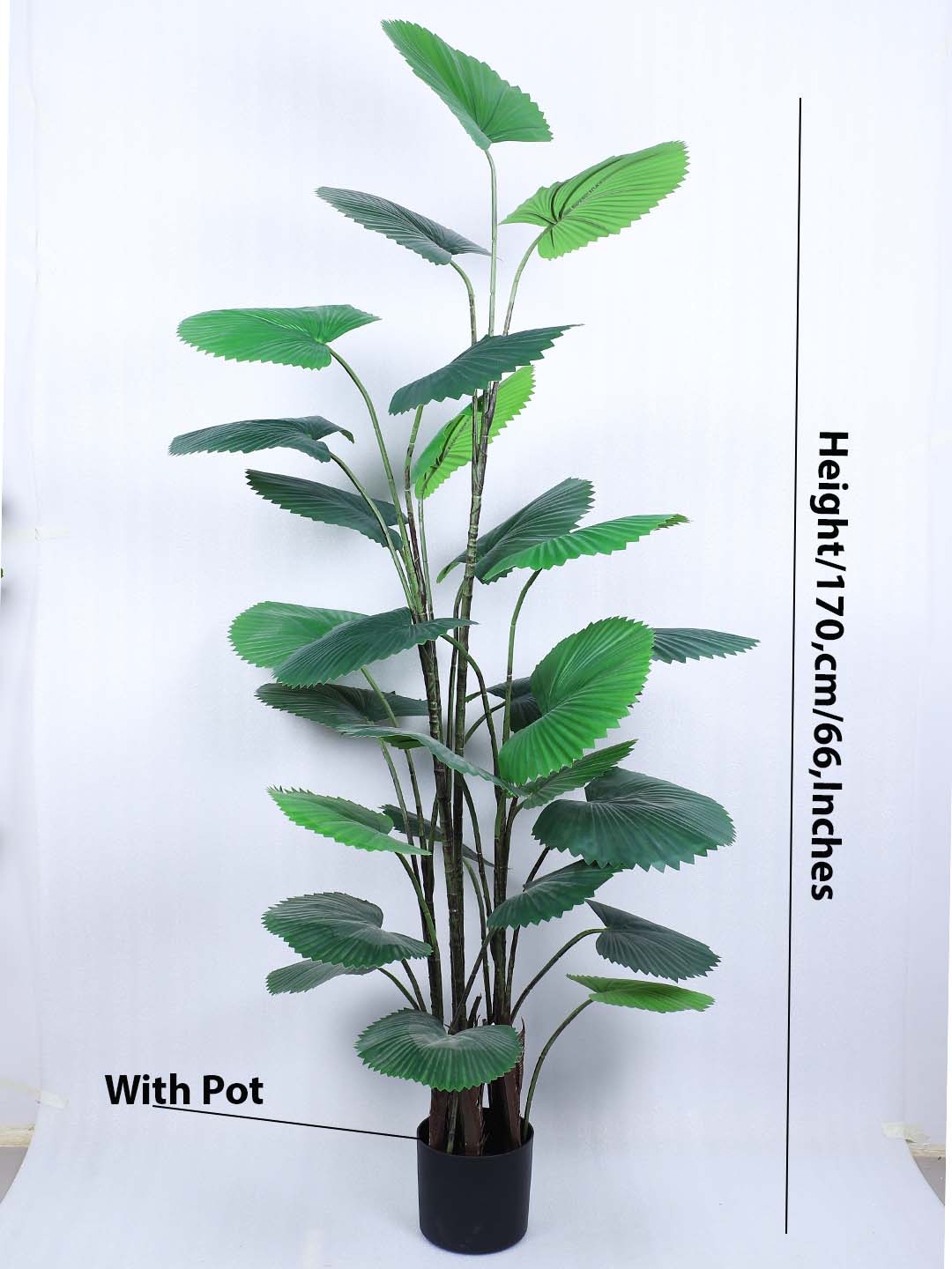5.5 Feet Premium Artificial Ruffled Fan Palm Plant with Pot -Premium Artificial Plant for Home and Office Decor for indoor and outdoor use 