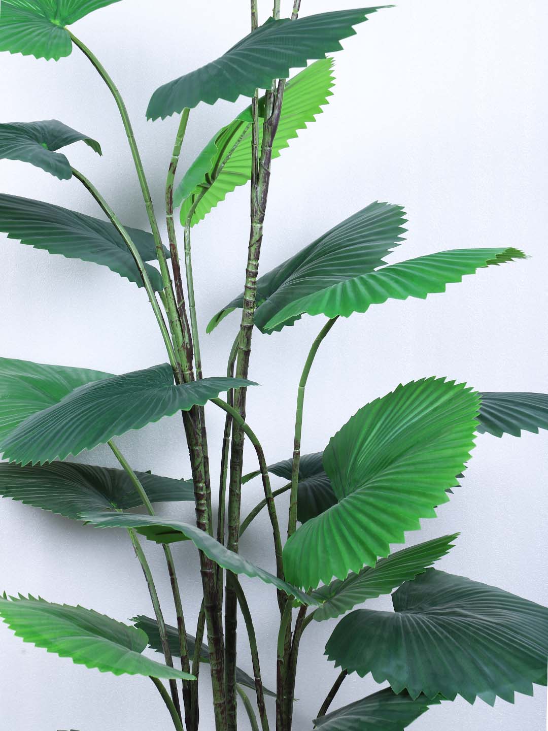 5.5 Feet Premium Artificial Ruffled Fan Palm Plant with Pot -Premium Artificial Plant for Home and Office Decor for indoor and outdoor use 