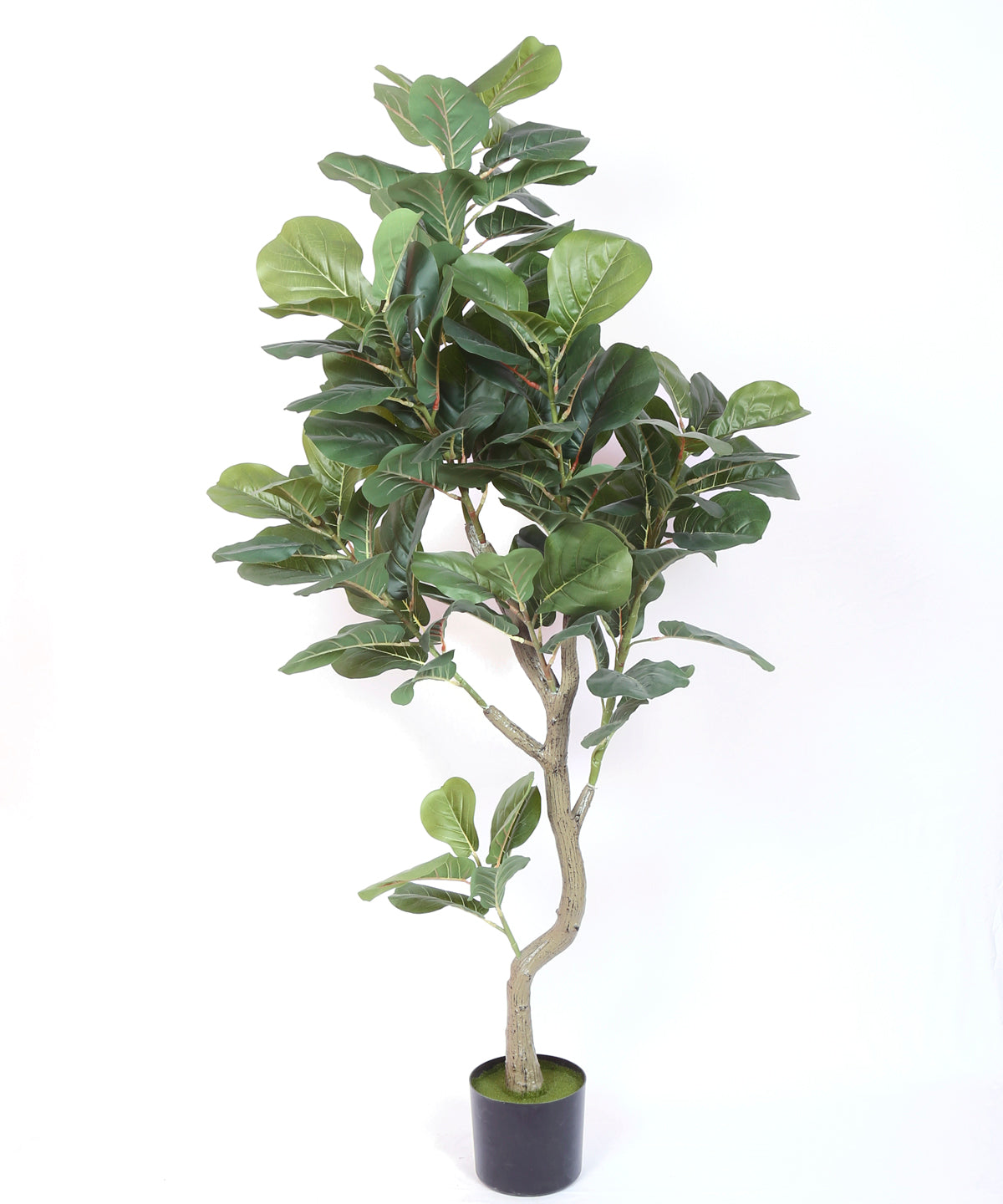 5 Feet Premium Artificial Fiddle Leaf Fig Plant with Pot - Premium Artificial Plant for Interior Decor for indoor and outdoor use