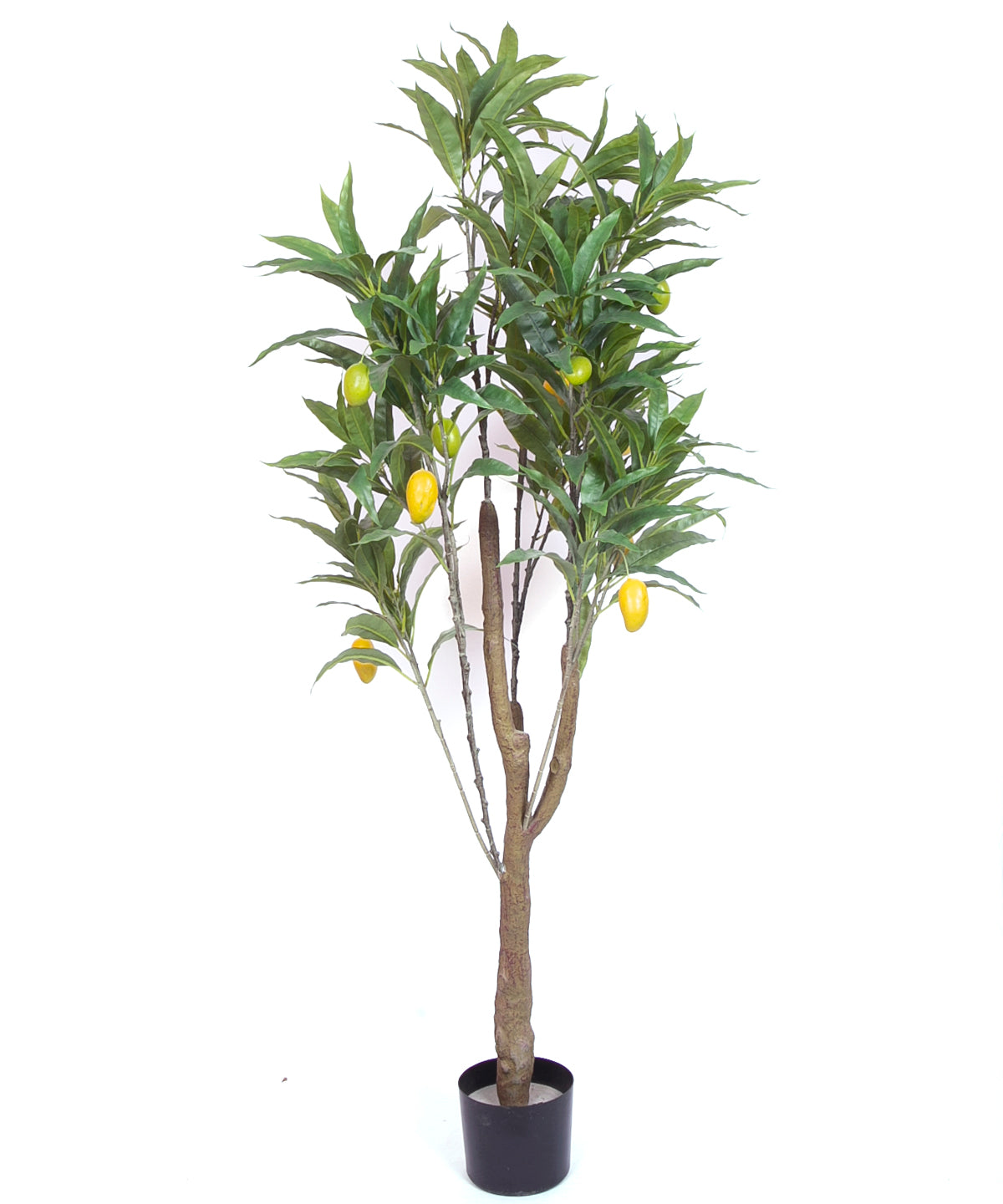 5 Feet Premium Artificial Mango Fruit Plant with Pot - Premium Artificial Plant for Home and Office Decor for indoor and outdoor use