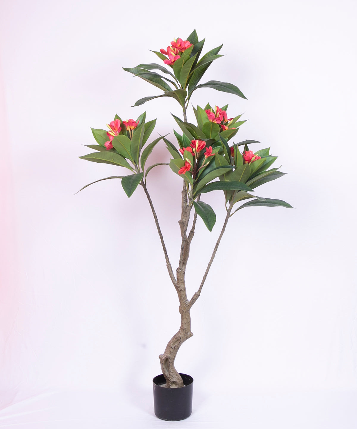 5 Feet Premium Artificial Pink Magnolia Flower Plant with Pot -Premium Artificial Plant for Interior/Office Decor for indoor and outdoor use