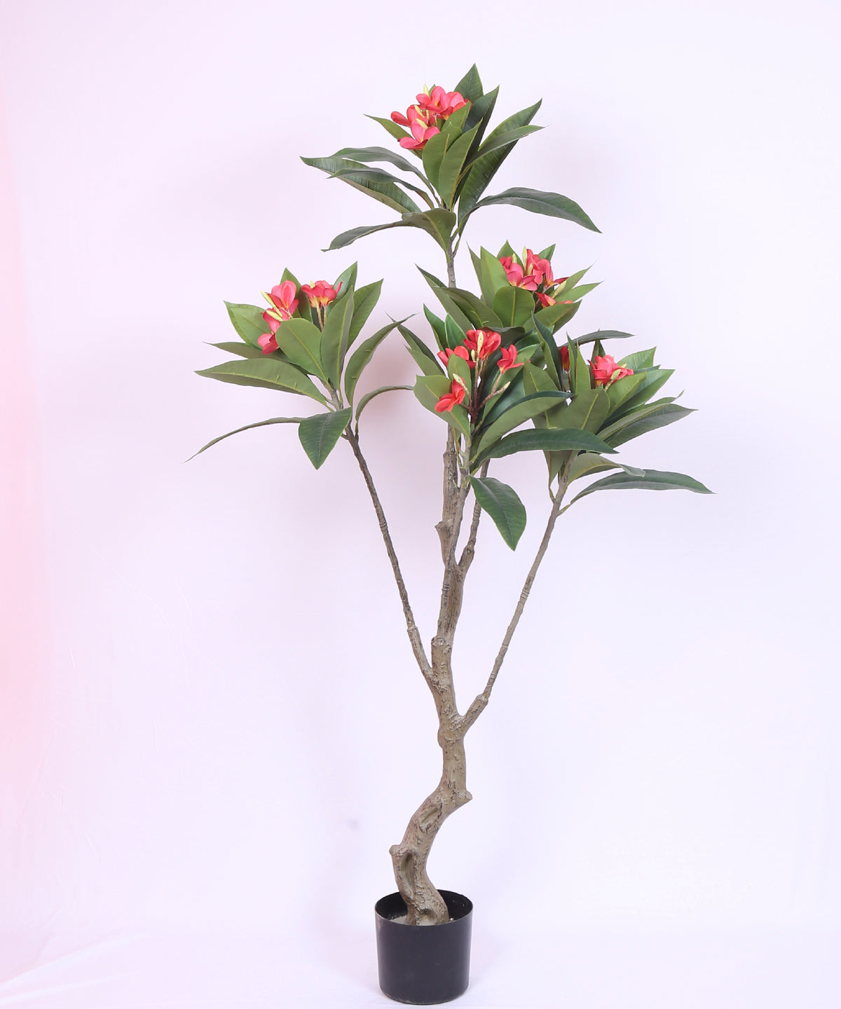 5 Feet Premium Artificial Pink Magnolia Flower Plant with Pot -Premium Artificial Plant for Interior/Office Decor for indoor and outdoor use