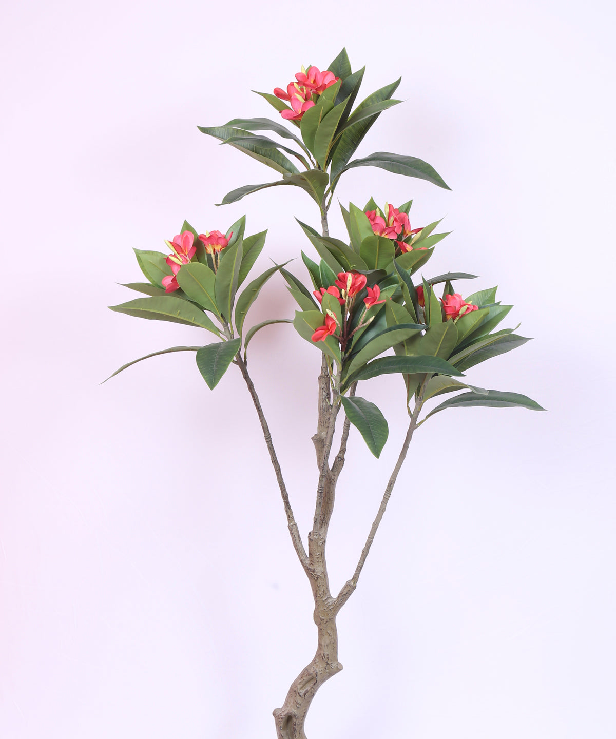 5 Feet Premium Artificial Pink Magnolia Flower Plant with Pot -Premium Artificial Plant for Interior/Office Decor for indoor and outdoor use