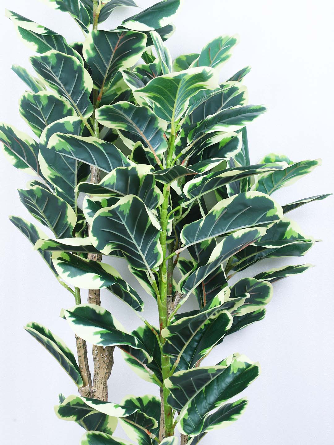 5 Feet Premium Artificial White Fiddle Leaf Fig Potted Plant- Luxe Artificial Plant for Home and Office Decor for indoor and outdoor use 
