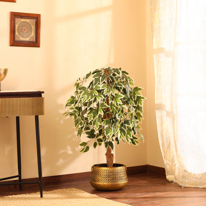 Artificial Variegated Ficus Plant – With Pot (4 Feet)