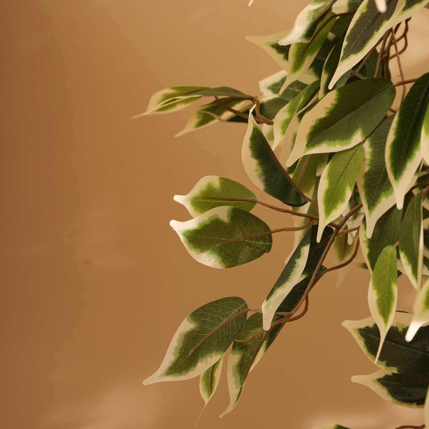 Artificial Variegated Ficus Plant – With Pot (4 Feet)