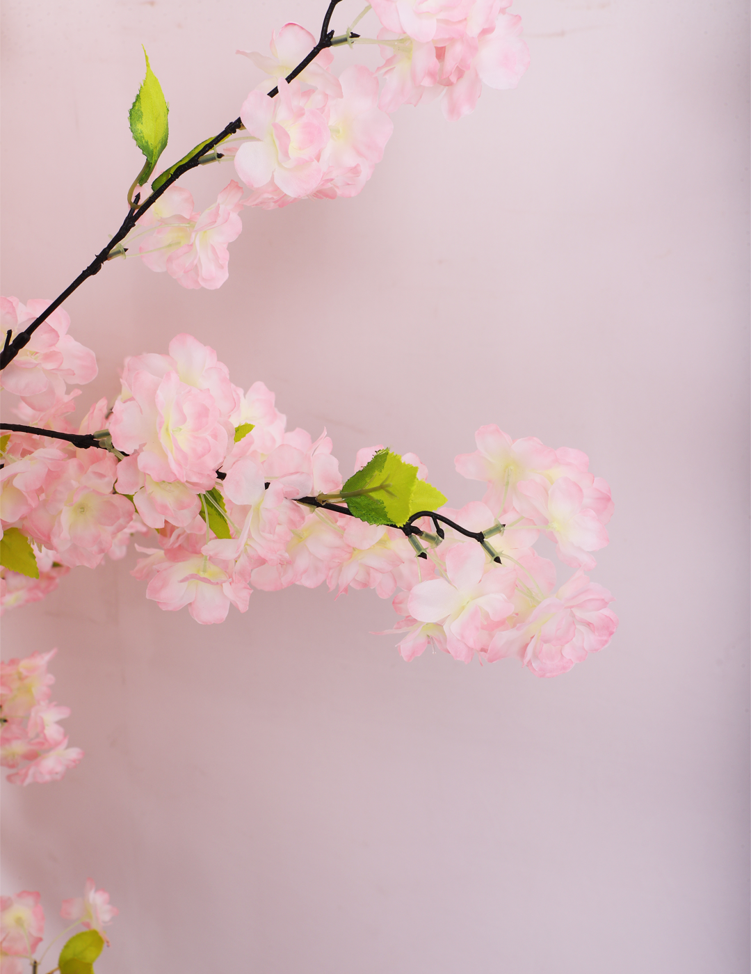 6 Feet Artificial Japanese Pastel Pink Cherry Blossom Flower Plant with Pot- Artificial Plant for Home Decor for indoor and outdoor use