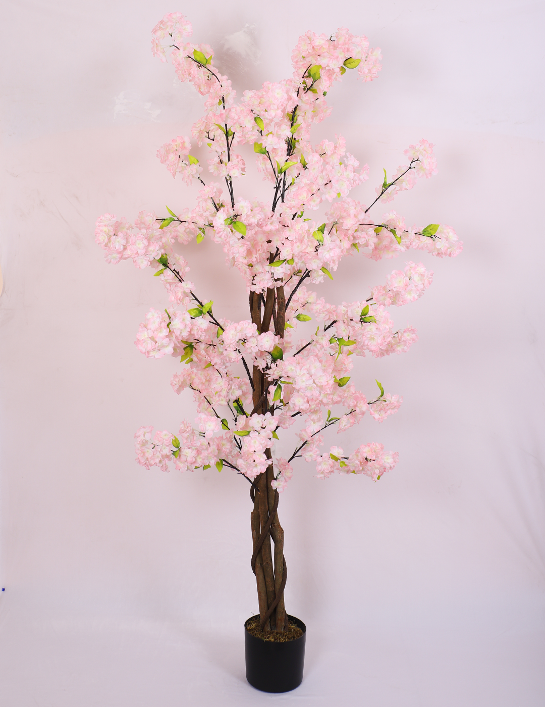 6 Feet Artificial Japanese Pastel Pink Cherry Blossom Flower Plant with Pot- Artificial Plant for Home Decor for indoor and outdoor use