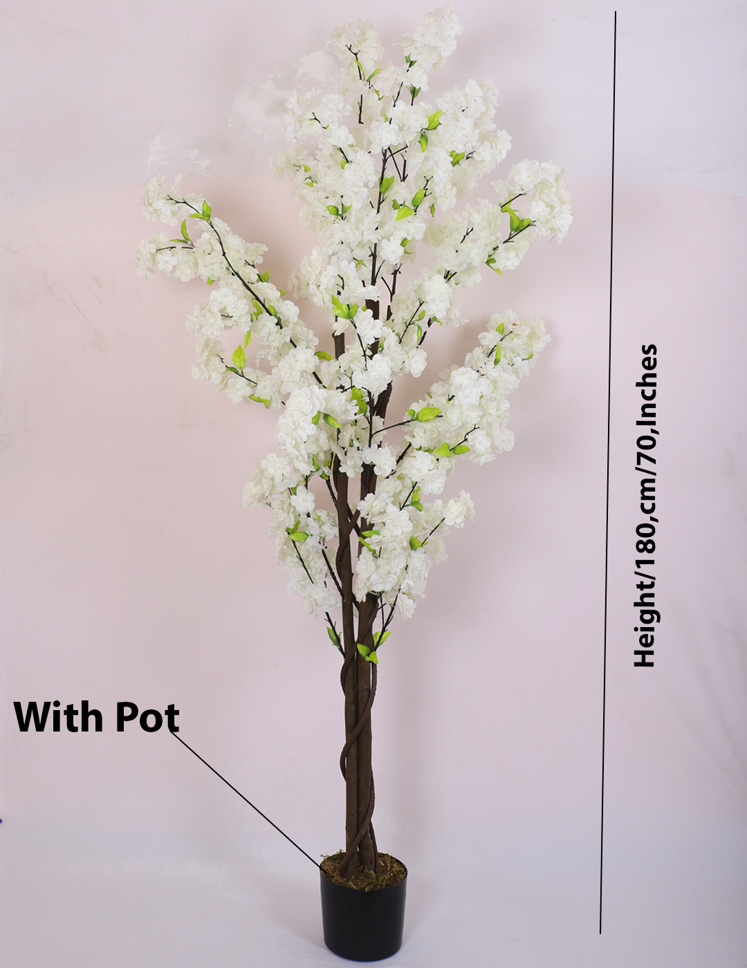 6 Feet Artificial Japanese White Cherry Blossom Flower Plant with Pot- Artificial Plant for Home Decor for outdoor and indoor use