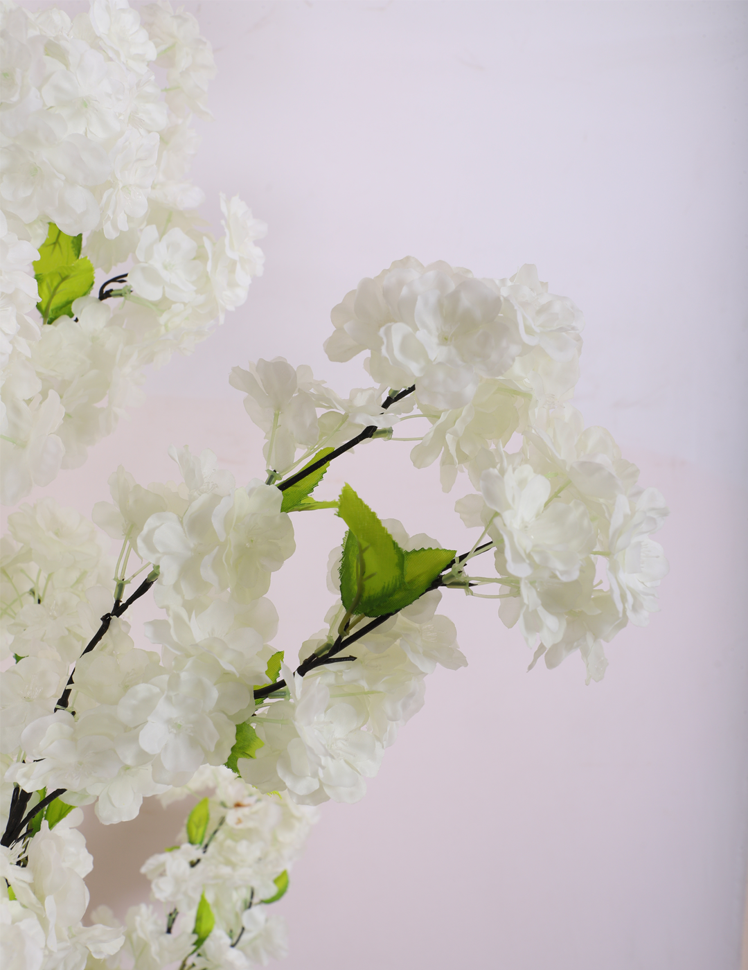 6 Feet Artificial Japanese White Cherry Blossom Flower Plant with Pot- Artificial Plant for Home Decor for outdoor and indoor use