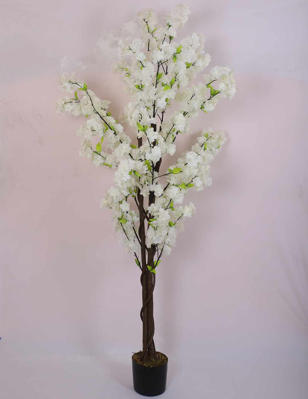 6 Feet Artificial Japanese White Cherry Blossom Flower Plant with Pot- Artificial Plant for Home Decor for outdoor and indoor use