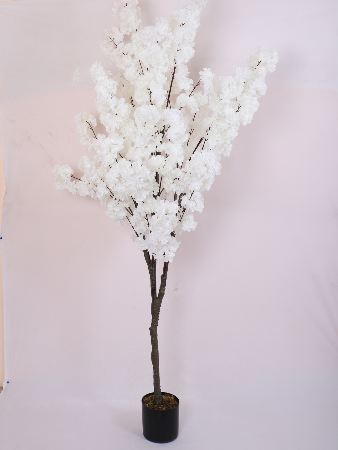 6 Feet Artificial White Japanese Cherry Blossom Flower Tree with Pot- Artificial Plant for Home Decor for indoor and outdoor use