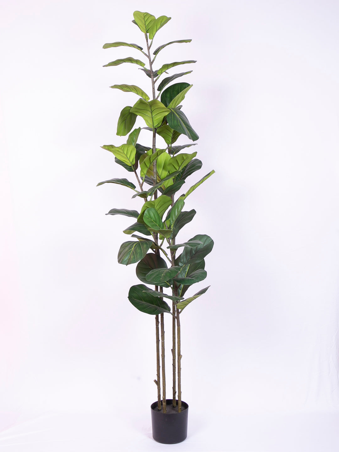 6 Feet Luxe Artificial Fiddle Leaf Fig Plant with Pot- Premium Artificial Plant for Home and Office Decor for indoor and outdoor use