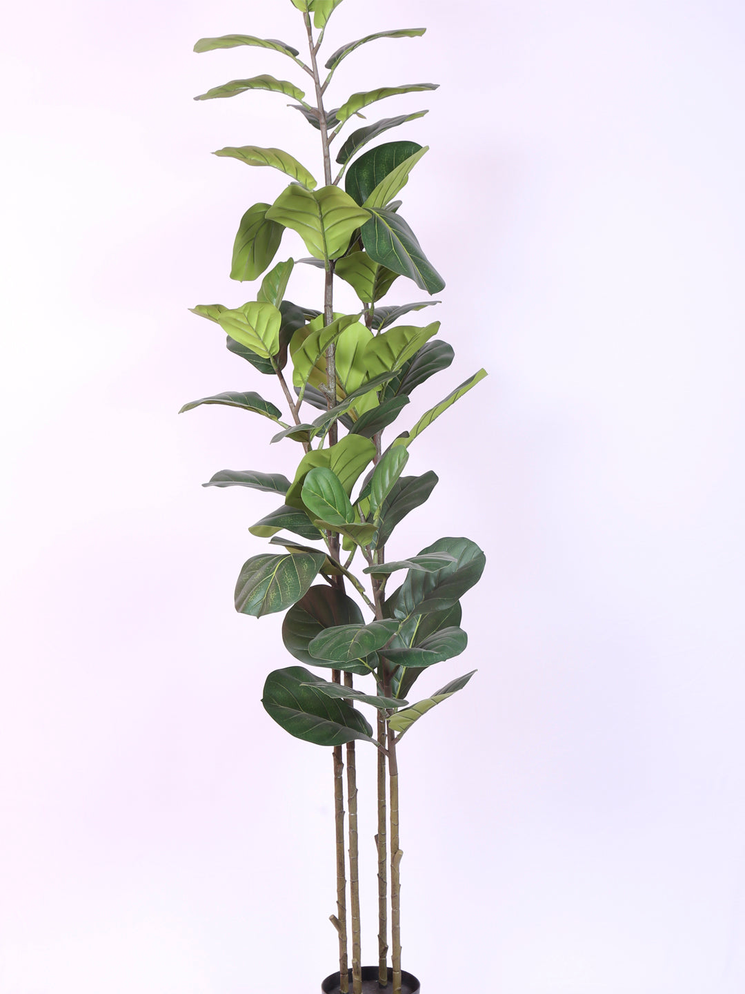6 Feet Luxe Artificial Fiddle Leaf Fig Plant with Pot- Premium Artificial Plant for Home and Office Decor for indoor and outdoor use