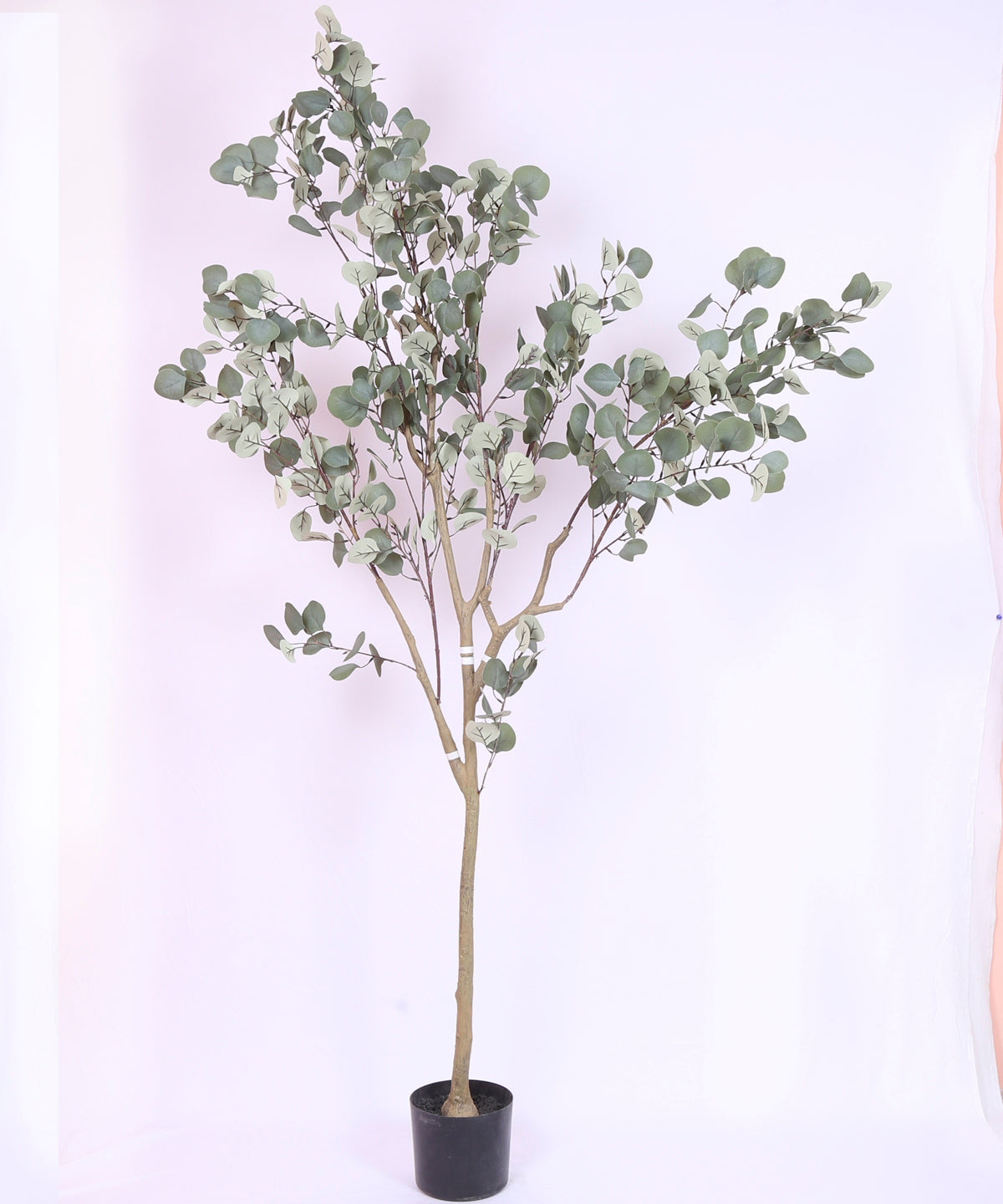6 Feet Premium Artificial Eucalyptus Plant with Pot - Luxe Faux Plant for Home and Office Decor for indoor and outdoor use