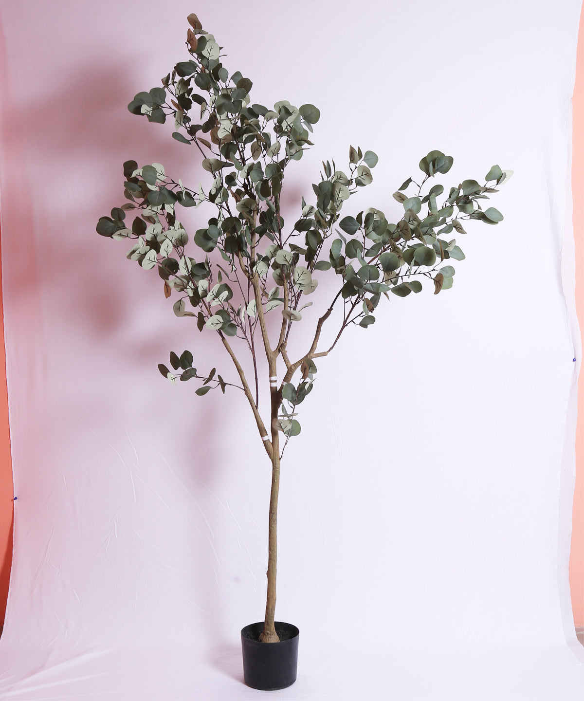 6 Feet Premium Artificial Eucalyptus Plant with Pot - Luxe Faux Plant for Home and Office Decor for indoor and outdoor use