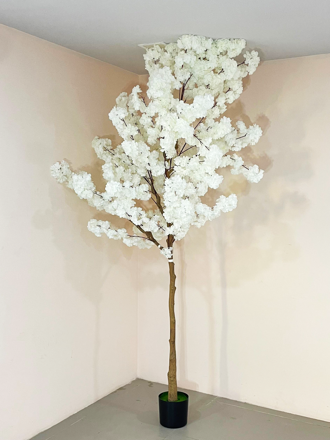 7.8 Artificial Japanese White Cherry Blossom Flower Tree with Pot- Artificial Plant for Home Decor for indoor and outdoor use