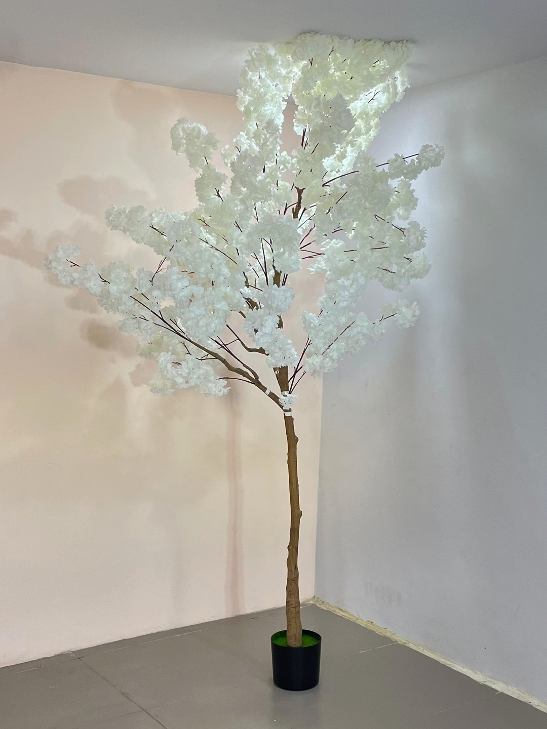 7.8 Artificial Japanese White Cherry Blossom Flower Tree with Pot- Artificial Plant for Home Decor for indoor and outdoor use
