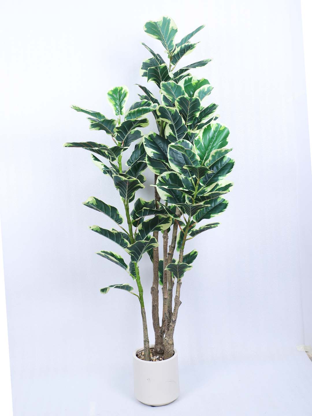 5 Feet Premium Artificial White Fiddle Leaf Fig Potted Plant- Luxe Artificial Plant for Home and Office Decor for indoor and outdoor use 