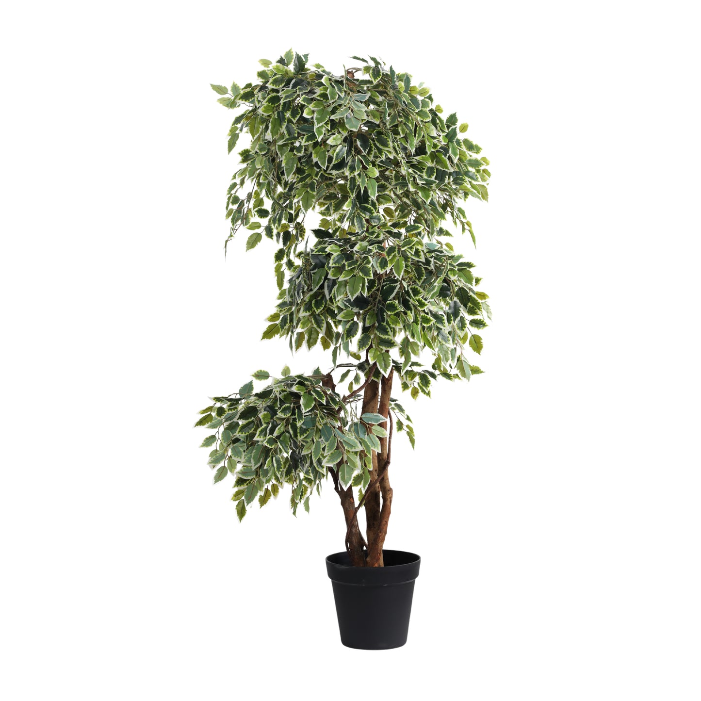 Artificial Variegated Ficus Bonsai – With Pot (5.5 Feet)