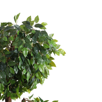 Artificial Green Ficus Bonsai for Home Décor – Realistic Indoor Plant (With Pot, 5.5 Feet)