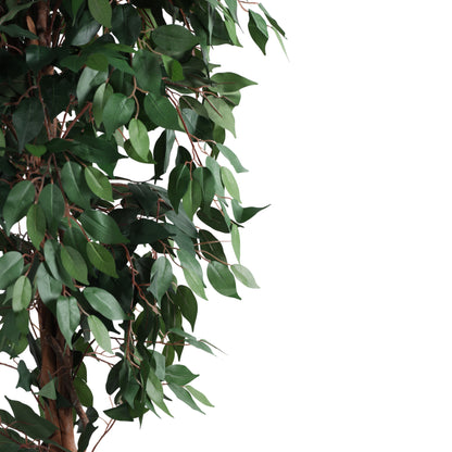 Artificial Green Ficus Plant for Home Décor – Realistic Indoor Plant (With Pot, 7 Feet)