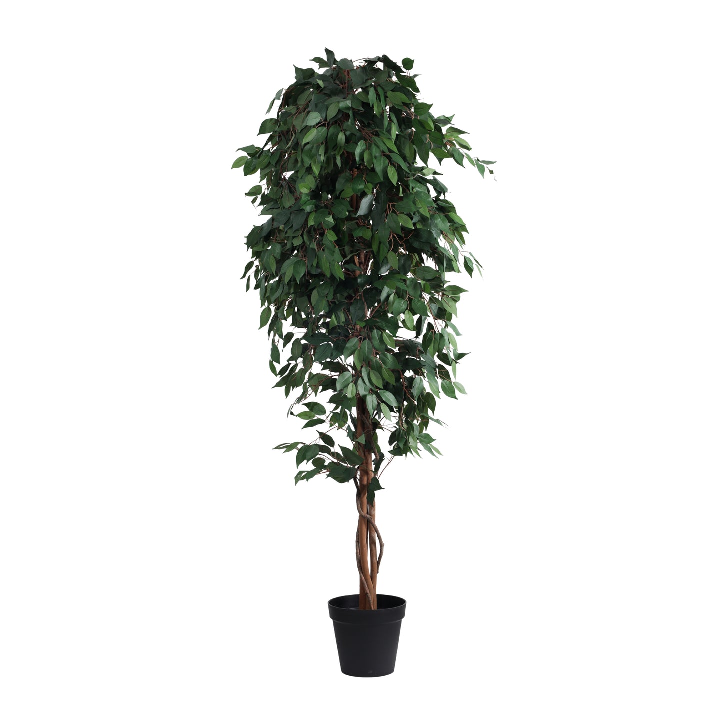 Artificial Green Ficus Plant for Home Décor – Realistic Indoor Plant (With Pot, 7 Feet)