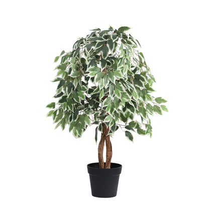 Artificial Variegated Ficus Plant – With Pot (4 Feet)