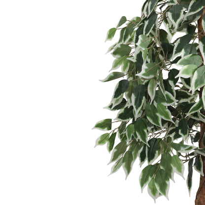 Artificial Variegated Ficus Plant – With Pot (4 Feet)
