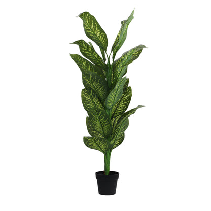 Artificial Dieffenbachia Plant for Home Décor – Realistic Indoor Plant (With Pot, 5.5 Feet)